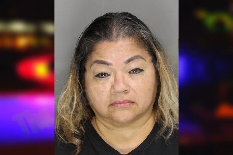 Irma Martinez mugshot