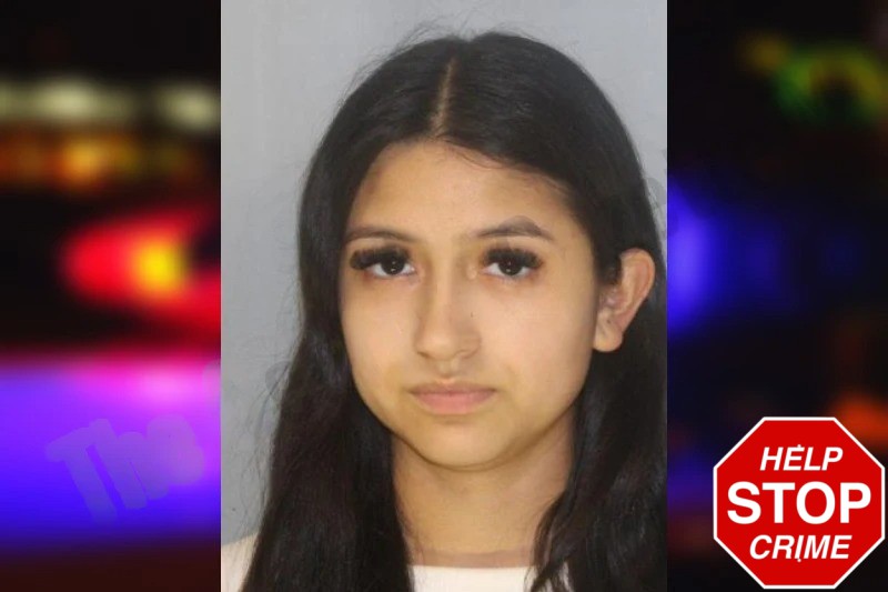 Isabel Hernandez Mugshots