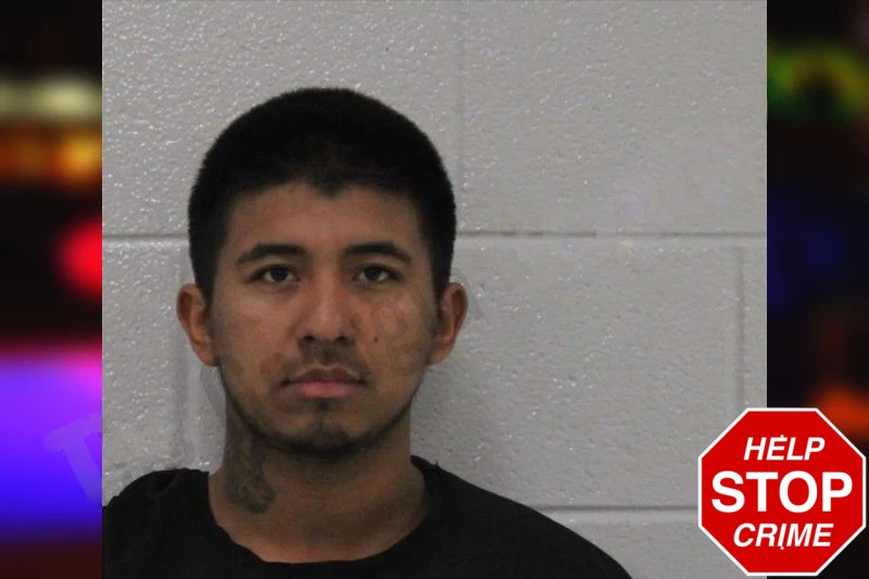 Isabel Vega Mugshots