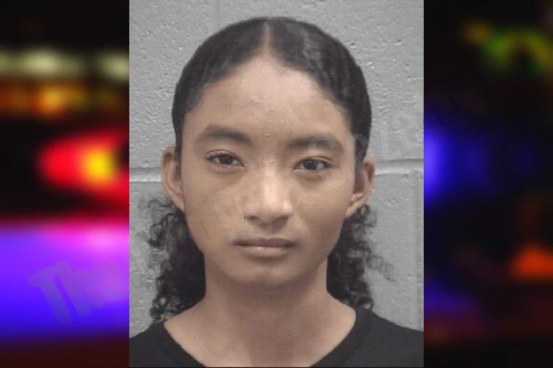 Isabella-Maria Palma mugshot