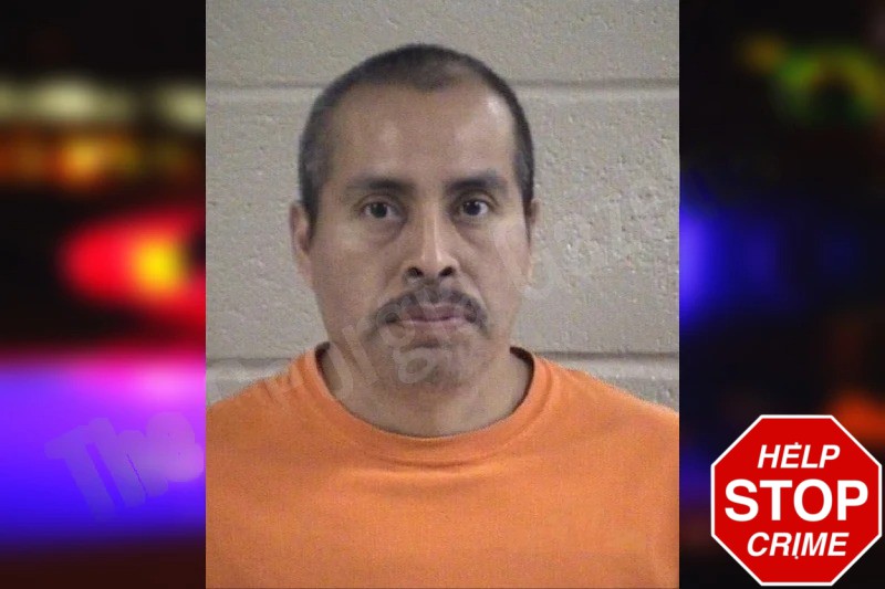 Ismael Mendoza-Calmo mugshot – Whitfield County , Georgia Ismael Mendoza-Calmo mugshot