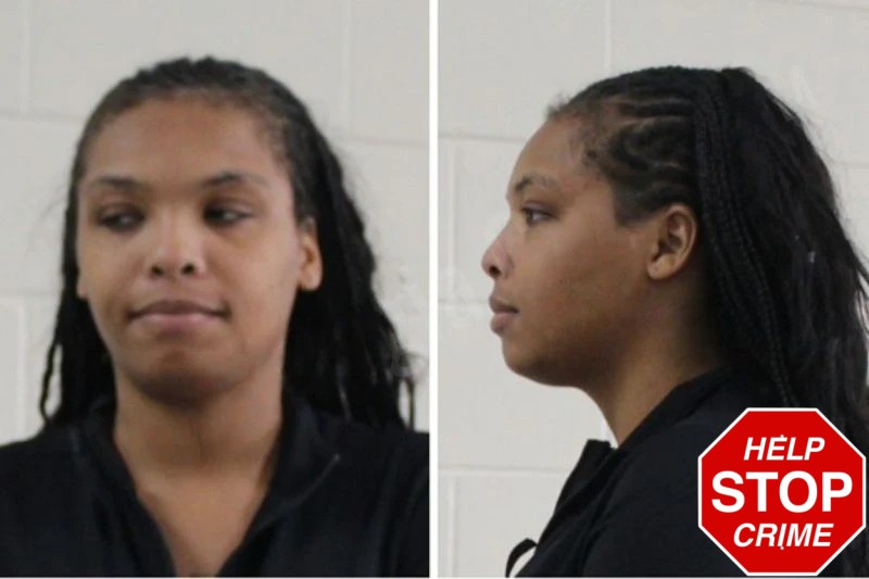 J’Quanda Bridgeman mugshot