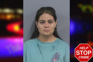 Jaciara Ramos Da Silva mugshot