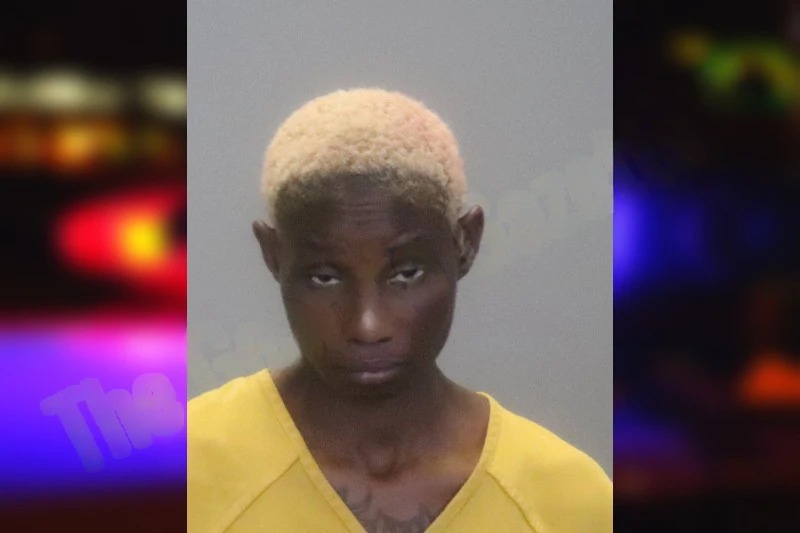 Jackie Hiley Mugshots