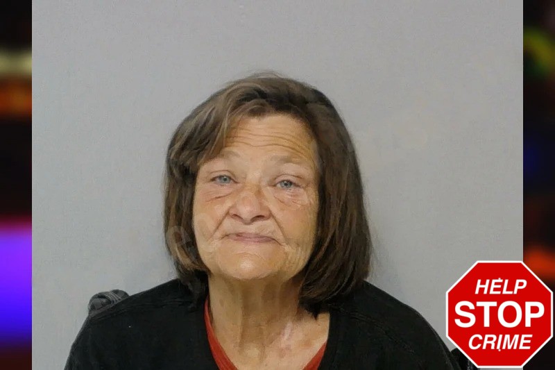 Jacqueline McComsey Mugshots