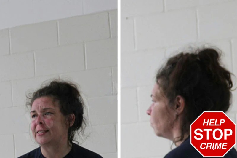 Jade Vargas Mugshots