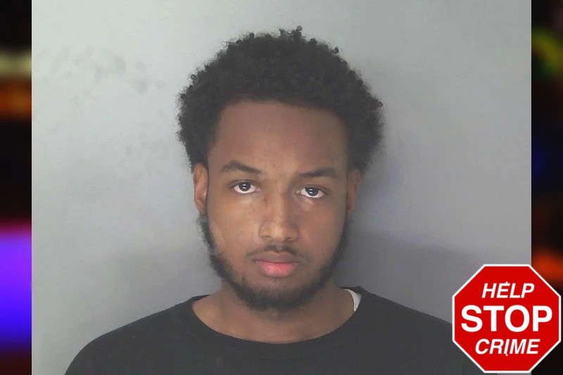 Jae’Lyn Wilkins Mugshots