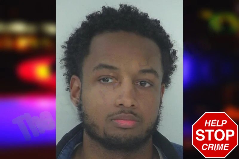 Jae’Lyn Wilkins mugshot – Fayette County , Georgia Jae’Lyn Wilkins mugshot