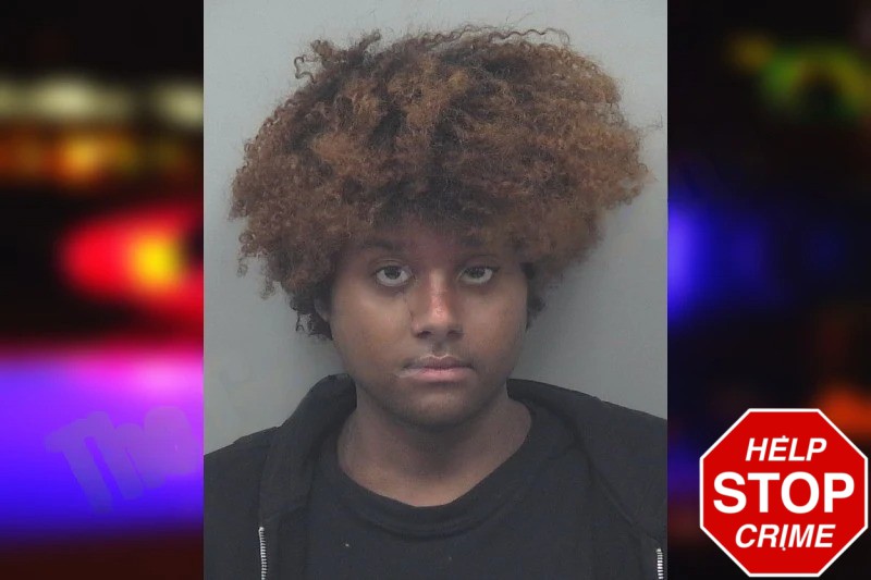 Jai Mohabir mugshot – Gwinnett County , Georgia Jai Mohabir mugshot