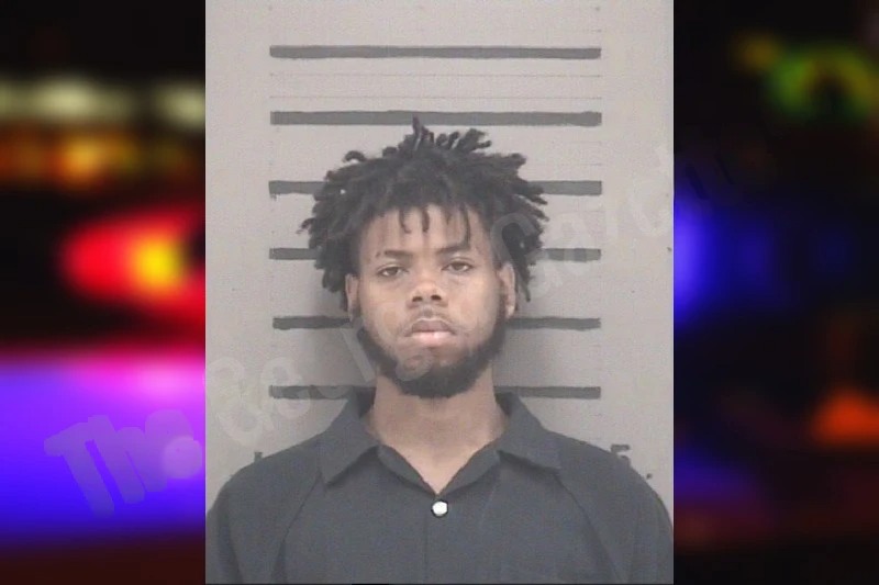 Jaidyn Bush Mugshots