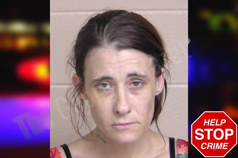 Jaime Headrick mugshot