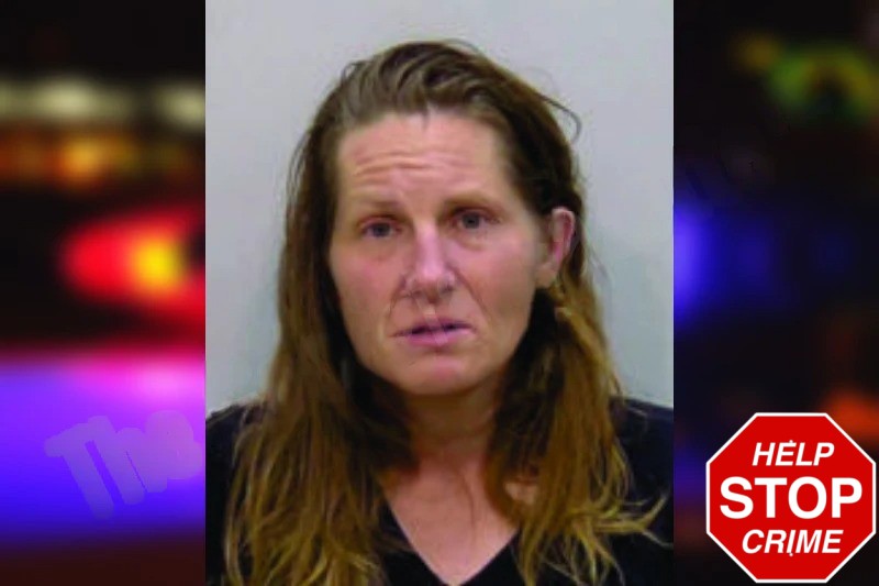 Jaime Taylor Mugshots