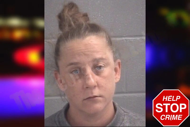 Jaimie Pool Mugshots