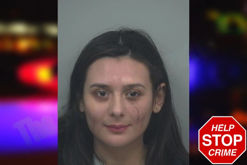 Jalin Delcid Mugshots