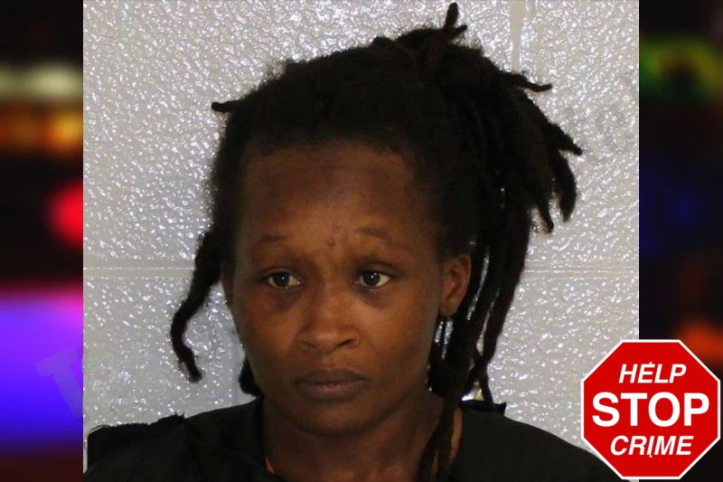 Jameia Levett Mugshots