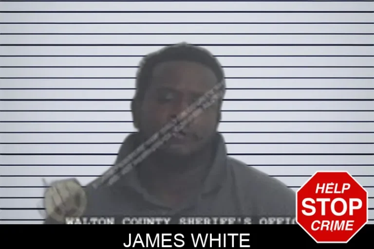 James White