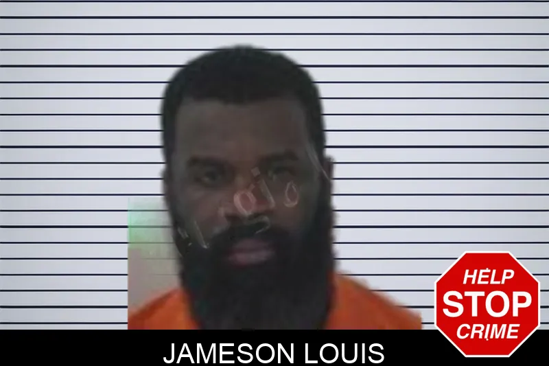 Jameson Louis mugshot – Fayette County , Georgia Jameson Louis mugshot