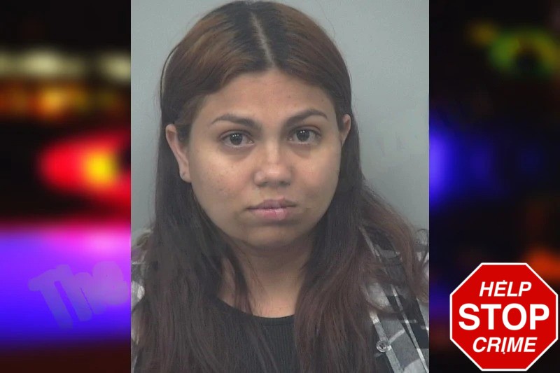 Jamie Alvarez mugshot