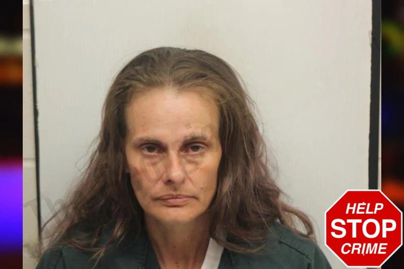 Jamie Hersman mugshot – Chatham County , Georgia Jamie Hersman mugshot