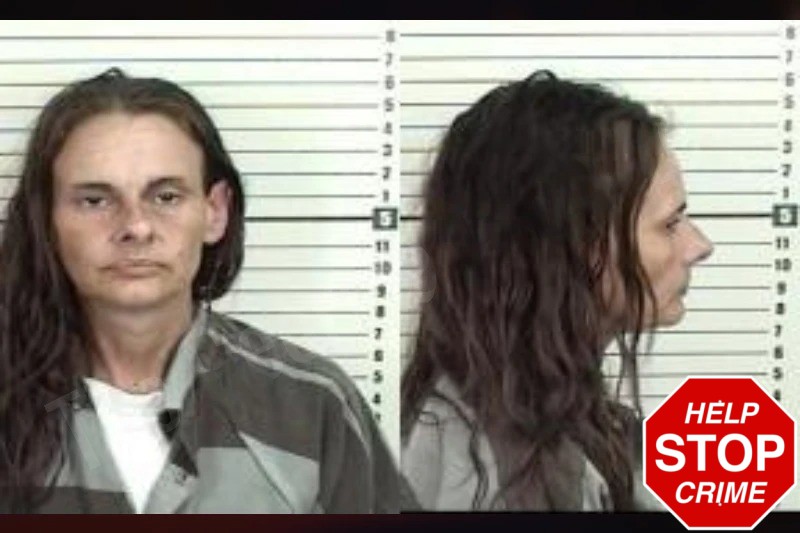 Jamie Hersman Mugshots