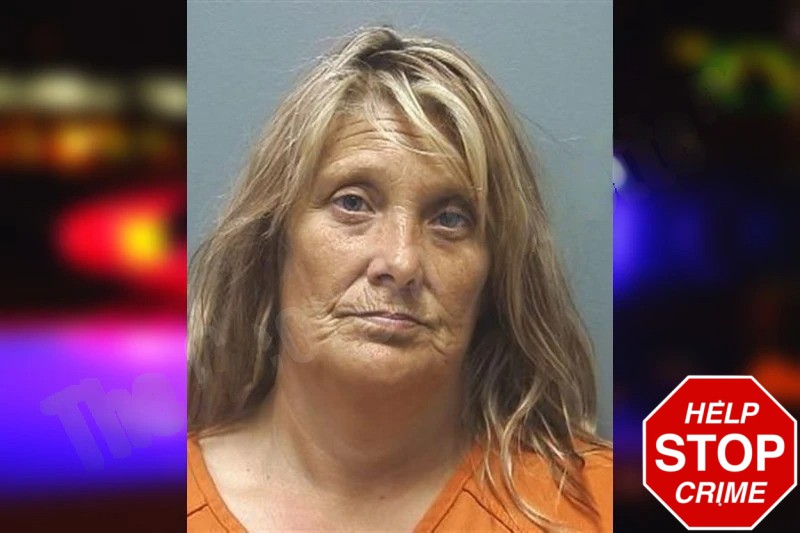 Jamie Hollis Mugshots