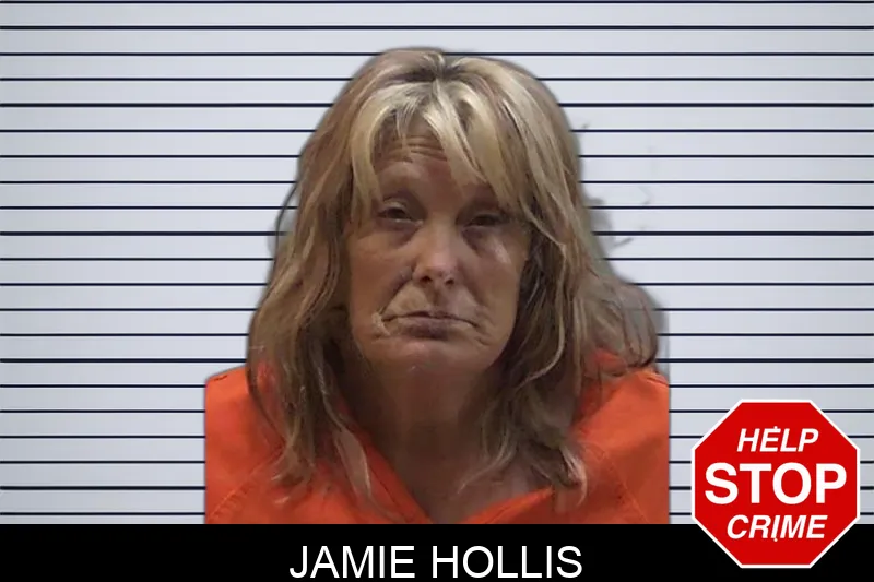 Jamie Hollis Mugshots