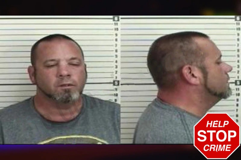 Jamie Johnson Mugshots