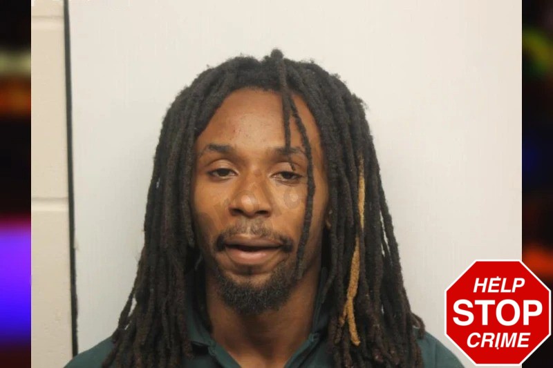 Jamie Simmons Mugshots