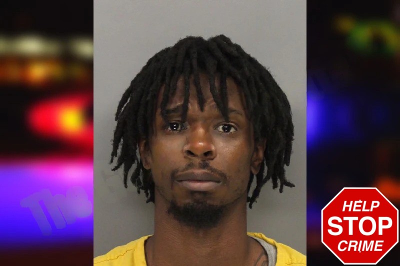 Jamie Wiley Mugshots