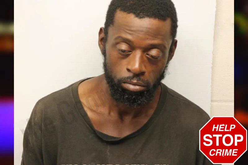 Jamison Moultrie Mugshots