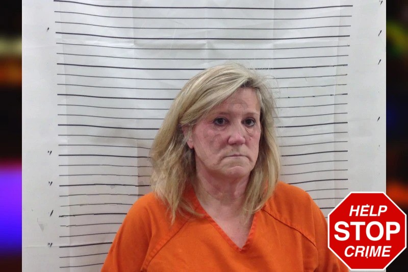 Janeane Lovelace Mugshots