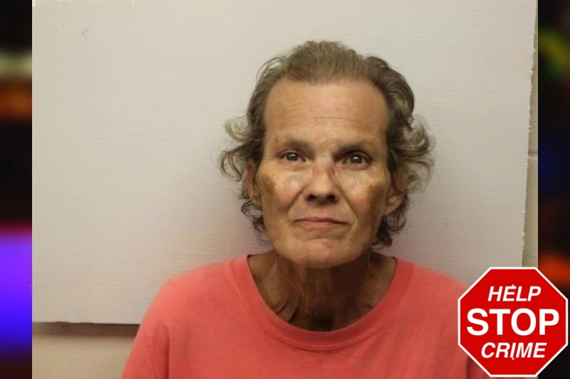 Janet Hicks Mugshots