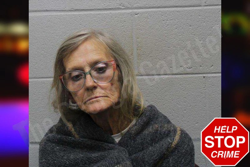 Janet Jackson mugshot