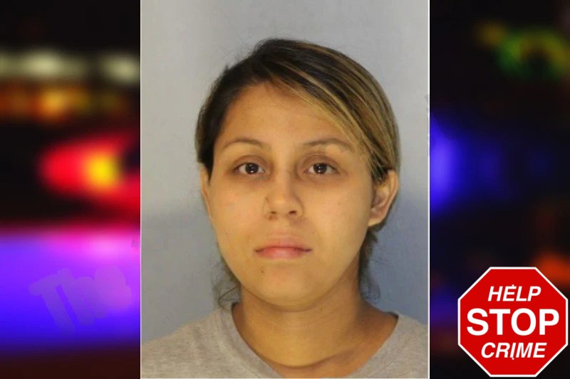 Janet Villanueva Mugshots