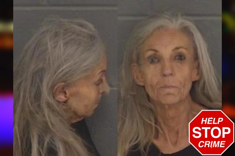 Janice Dalli mugshot