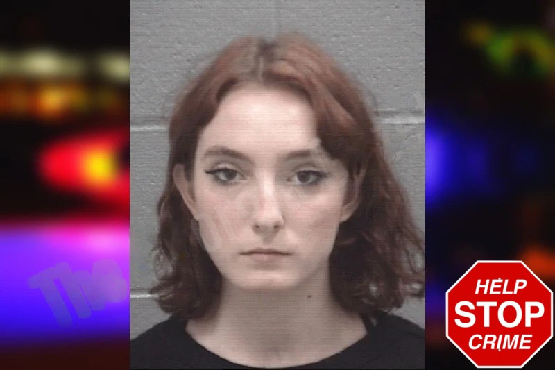 Janice Looper Mugshots