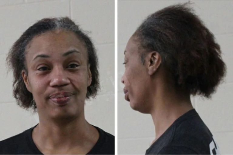 Janie Braddy mugshot – Houston County , Georgia Janie Braddy