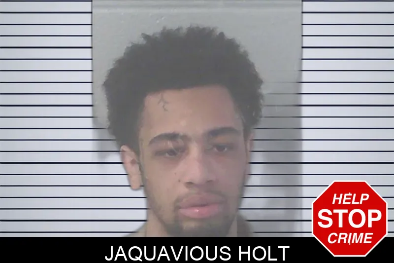 Jaquavious Holt Mugshots