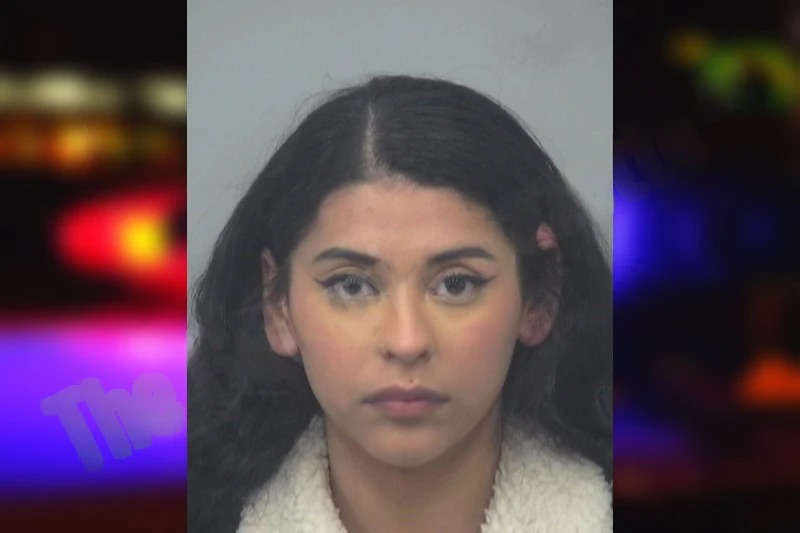 Jasmin Flores Castillo mugshot – Gwinnett County , Georgia Jasmin Flores Castillo mugshot