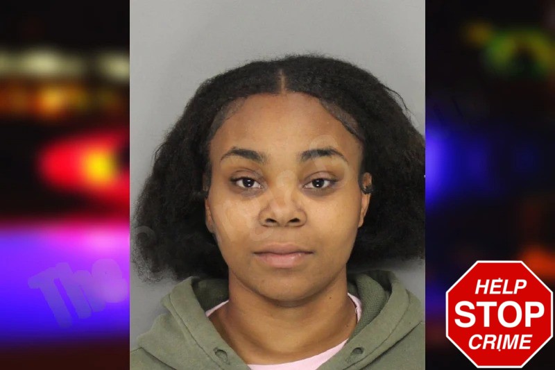 Jasmine Hayes mugshot – Cobb County , Georgia Jasmine Hayes mugshot