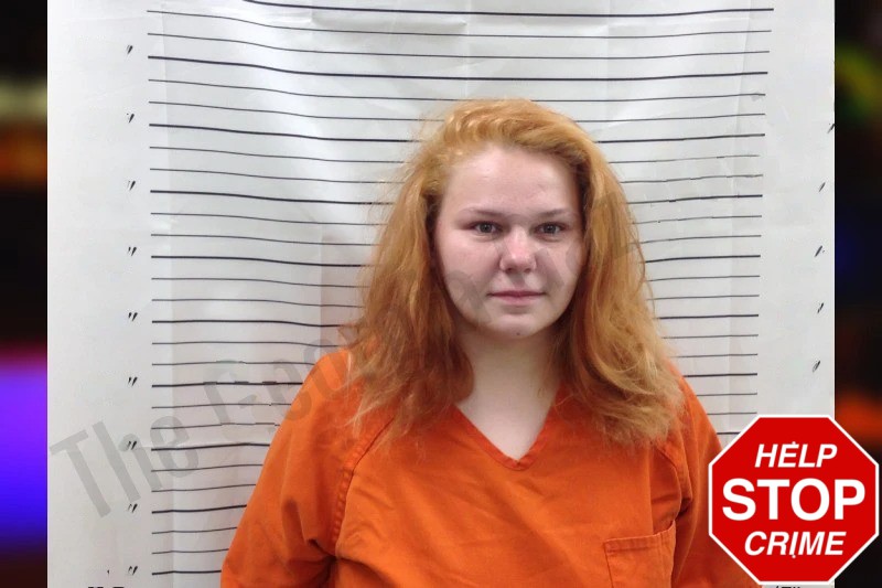 Jasmine Holcombe Mugshots