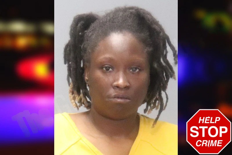 Jasmine Lee Mugshots