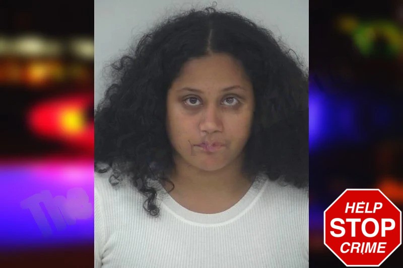 Jasmine Lee Mugshots