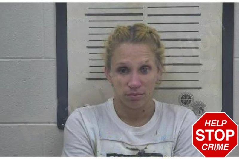 Jasmine Norat Mugshots