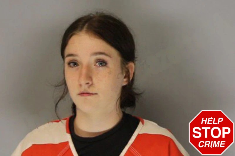 Jasmine Pilgrim Mugshots