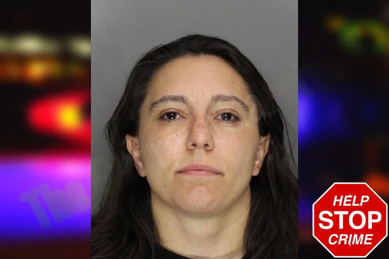 Jasmine Torres Mugshots