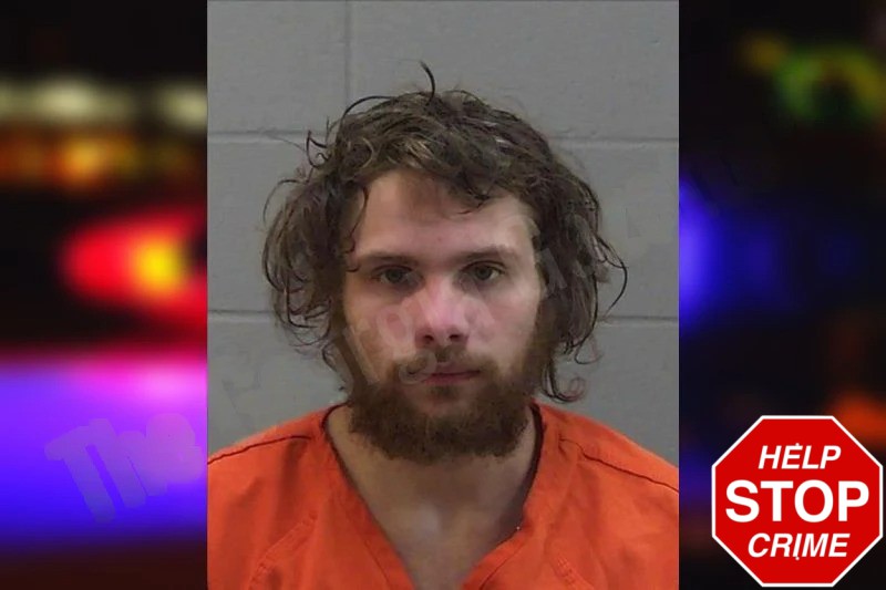 Jayden Andrews Mugshots