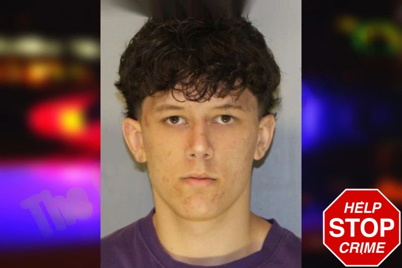 Jayden Matthews Mugshots