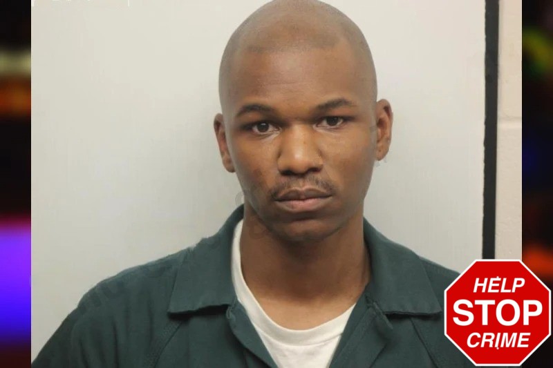 Jayleen Hannor Mugshots