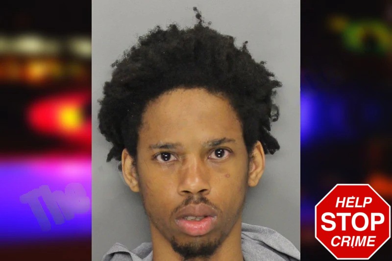 Jaylynn Stewart mugshot